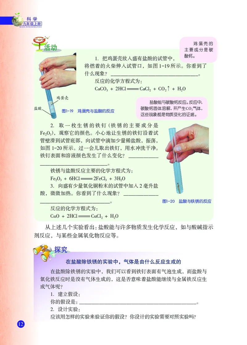 浙教版9年级科学上册高清教材_4-教培资料-26年最新资料-同步更新_初中高中教资_03科三专项（进去保存报考的学科即可）_02科三专项（笔记真题思维导图教学设计版本二）