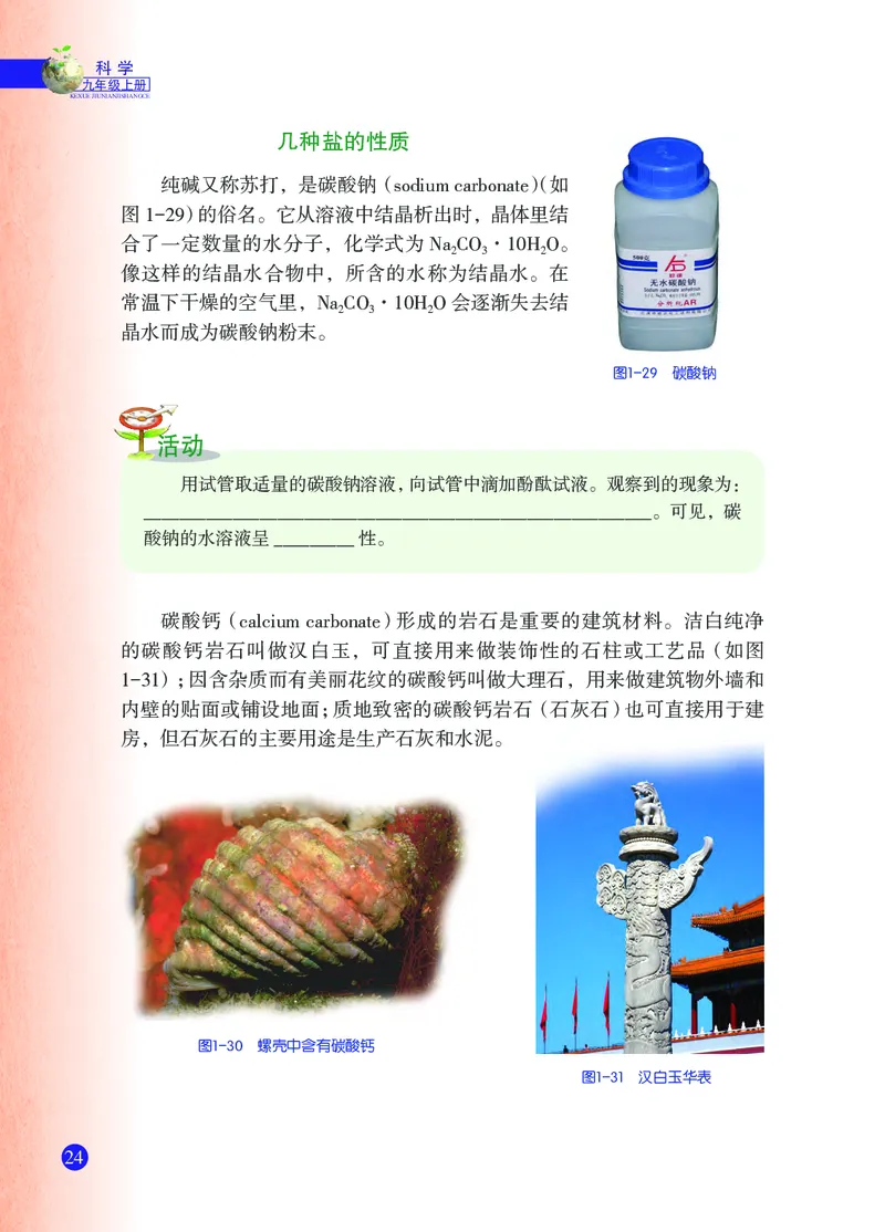 浙教版9年级科学上册高清教材_4-教培资料-26年最新资料-同步更新_初中高中教资_03科三专项（进去保存报考的学科即可）_02科三专项（笔记真题思维导图教学设计版本二）