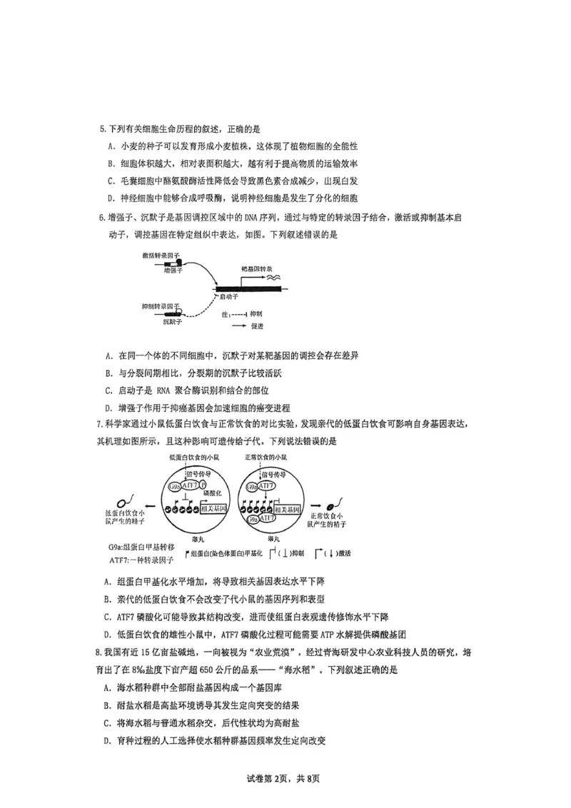 厦门外国语学校2026届高三上学期12月月考生物试卷（含答案）_2025年12月_251208福建省厦门外国语学校2025-2026学年高三上学期12月月考（全科）