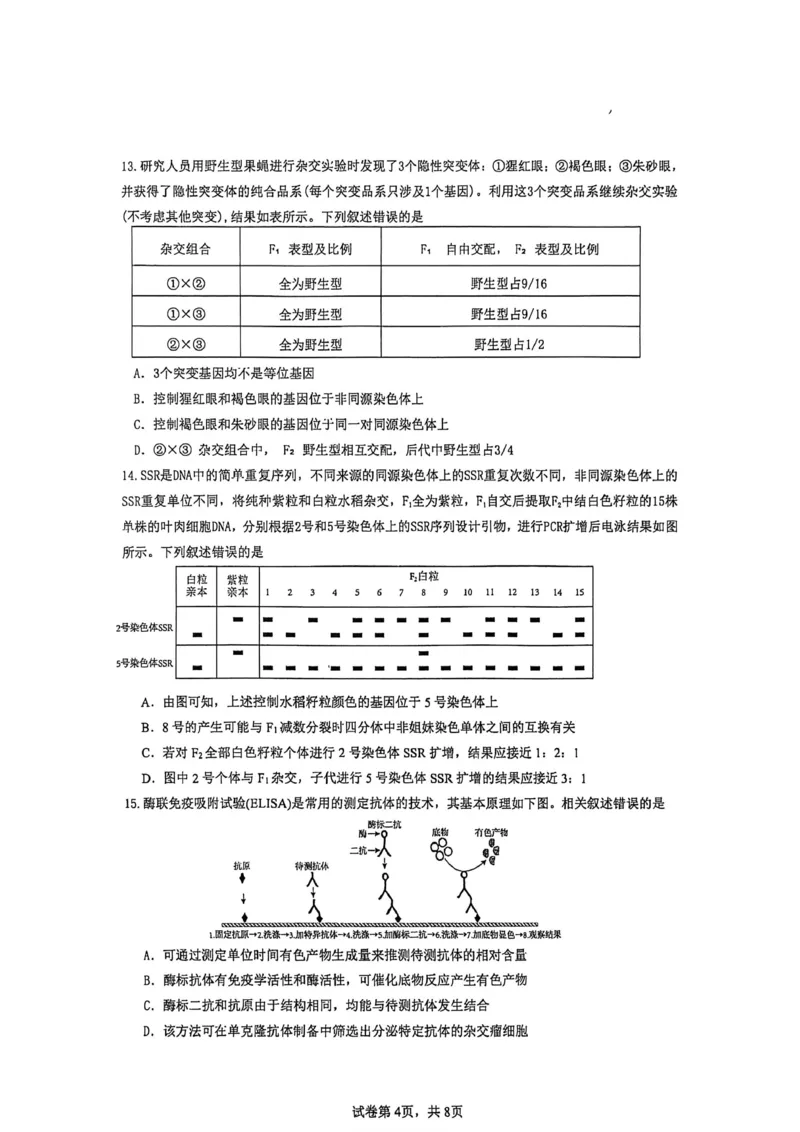 厦门外国语学校2026届高三上学期12月月考生物试卷（含答案）_2025年12月_251208福建省厦门外国语学校2025-2026学年高三上学期12月月考（全科）
