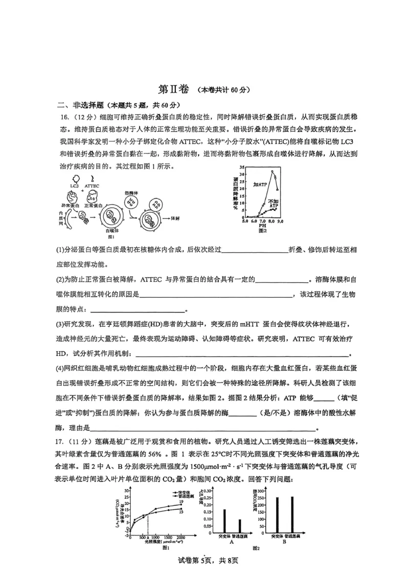 厦门外国语学校2026届高三上学期12月月考生物试卷（含答案）_2025年12月_251208福建省厦门外国语学校2025-2026学年高三上学期12月月考（全科）