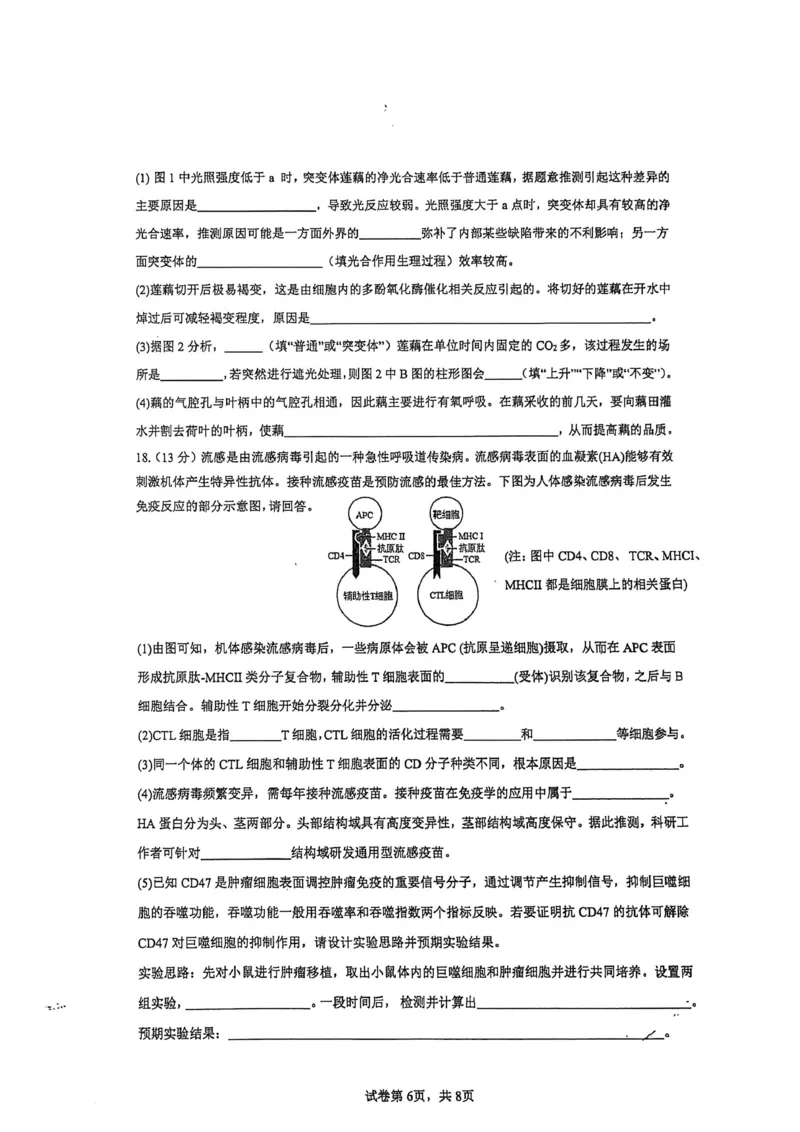 厦门外国语学校2026届高三上学期12月月考生物试卷（含答案）_2025年12月_251208福建省厦门外国语学校2025-2026学年高三上学期12月月考（全科）