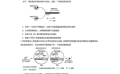 厦门外国语学校2026届高三上学期12月月考生物试卷（含答案）_2025年12月_251208福建省厦门外国语学校2025-2026学年高三上学期12月月考（全科）