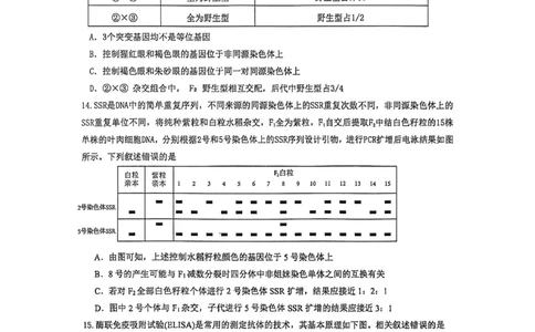 厦门外国语学校2026届高三上学期12月月考生物试卷（含答案）_2025年12月_251208福建省厦门外国语学校2025-2026学年高三上学期12月月考（全科）