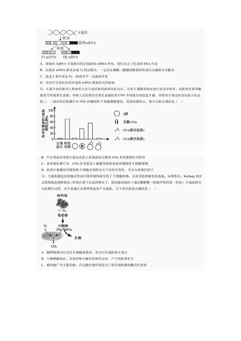 巴中市普通高中2022级&ldquo;三诊&rdquo;考试生物_2025年6月_250601四川省巴中市普通高中2022级&ldquo;三诊&rdquo;考试（全科）_巴中市普通高中2022级&ldquo;三诊&rdquo;考试生物