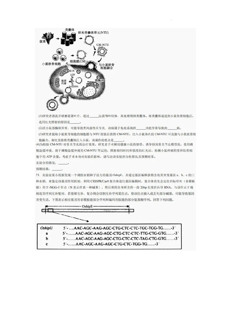 巴中市普通高中2022级&ldquo;三诊&rdquo;考试生物_2025年6月_250601四川省巴中市普通高中2022级&ldquo;三诊&rdquo;考试（全科）_巴中市普通高中2022级&ldquo;三诊&rdquo;考试生物