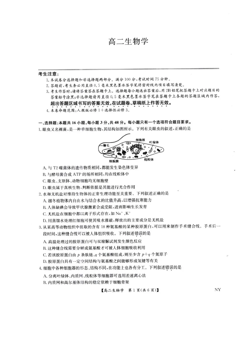 河南省南阳市九师联盟2024-2025学年高二下学期6月期末考试生物试题（含答案）_2025年6月_250619河南省南阳市九师联盟2024-2025学年高二下学期6月期末（全科）