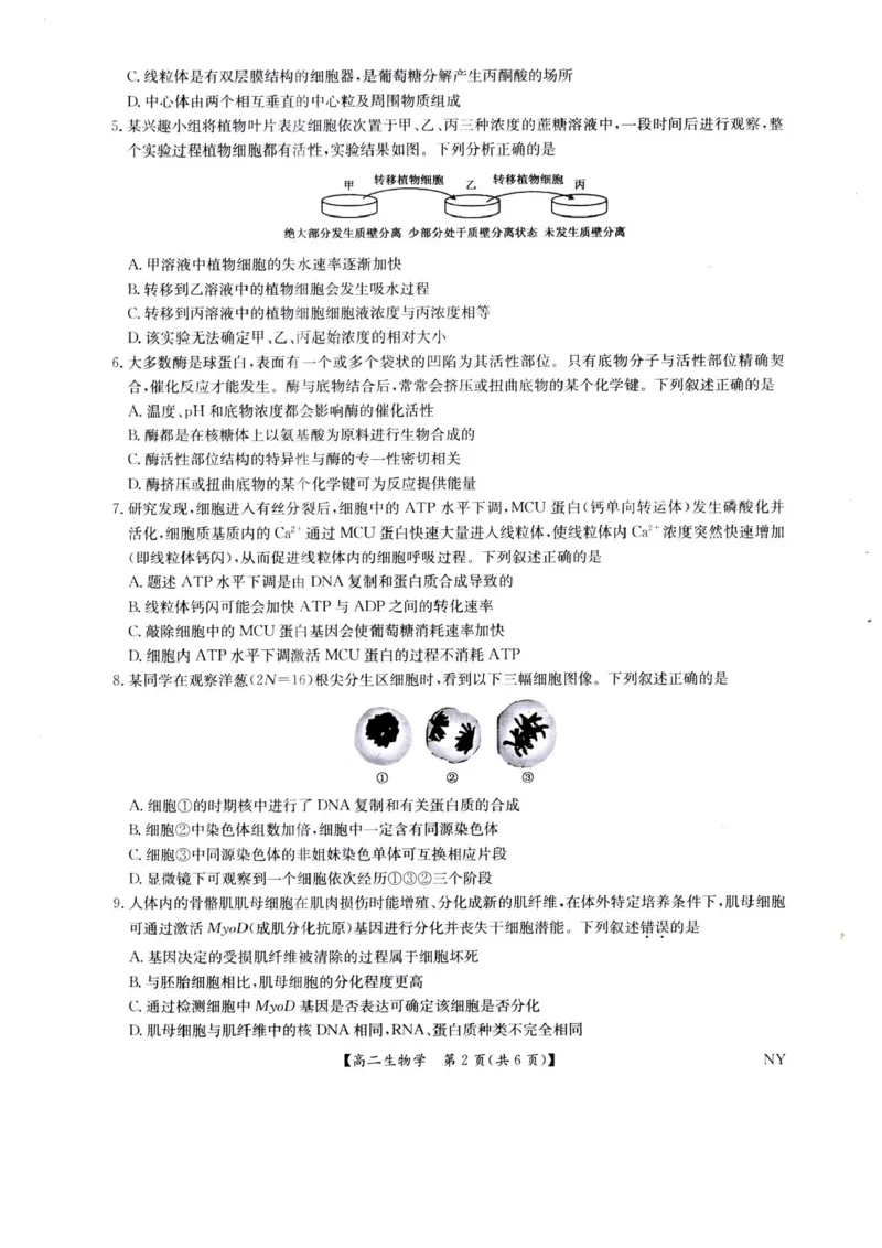 河南省南阳市九师联盟2024-2025学年高二下学期6月期末考试生物试题（含答案）_2025年6月_250619河南省南阳市九师联盟2024-2025学年高二下学期6月期末（全科）