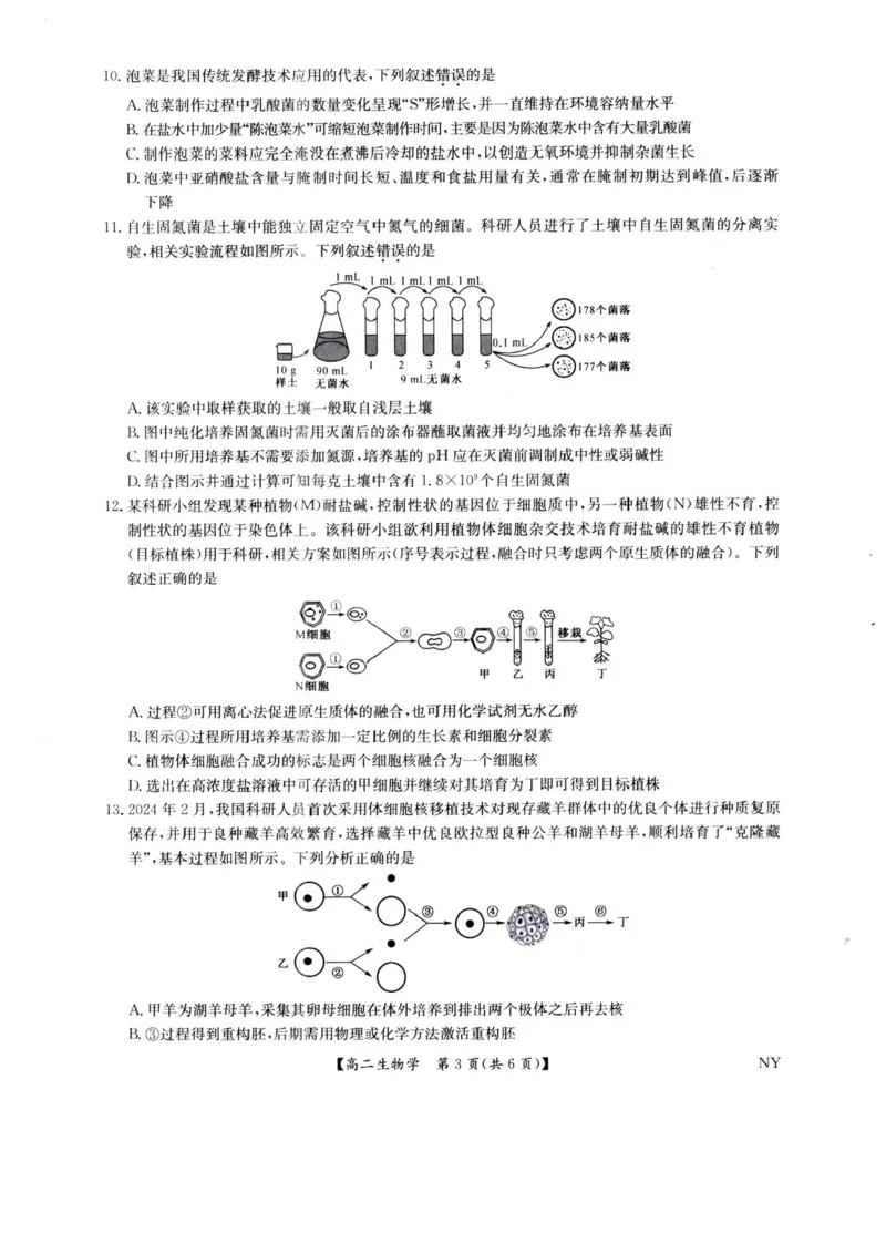 河南省南阳市九师联盟2024-2025学年高二下学期6月期末考试生物试题（含答案）_2025年6月_250619河南省南阳市九师联盟2024-2025学年高二下学期6月期末（全科）