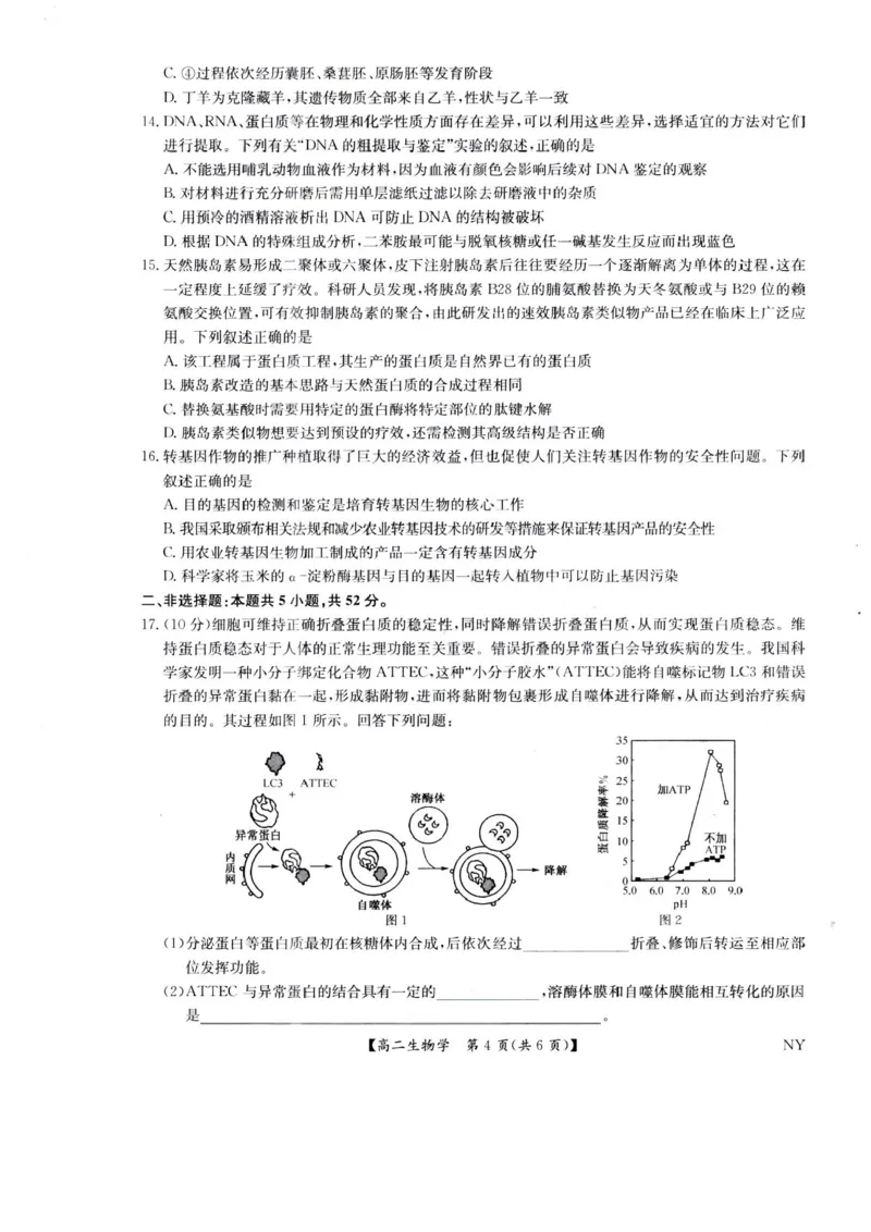 河南省南阳市九师联盟2024-2025学年高二下学期6月期末考试生物试题（含答案）_2025年6月_250619河南省南阳市九师联盟2024-2025学年高二下学期6月期末（全科）