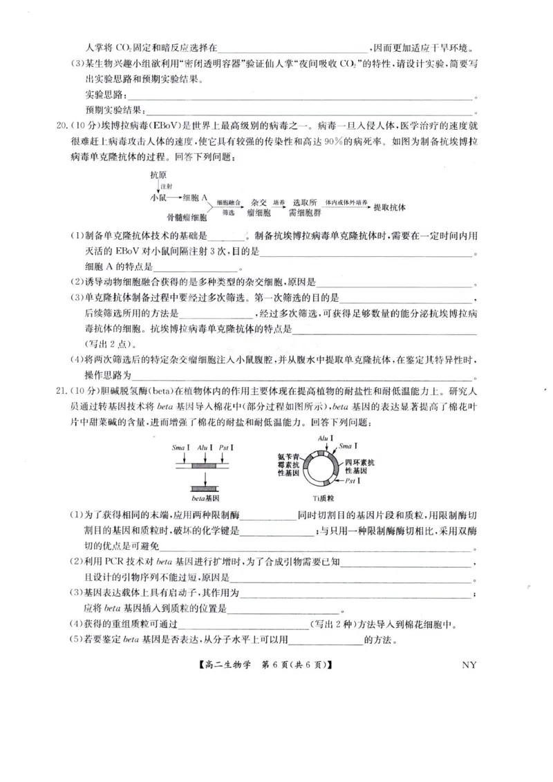 河南省南阳市九师联盟2024-2025学年高二下学期6月期末考试生物试题（含答案）_2025年6月_250619河南省南阳市九师联盟2024-2025学年高二下学期6月期末（全科）