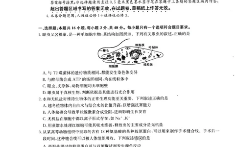 河南省南阳市九师联盟2024-2025学年高二下学期6月期末考试生物试题（含答案）_2025年6月_250619河南省南阳市九师联盟2024-2025学年高二下学期6月期末（全科）