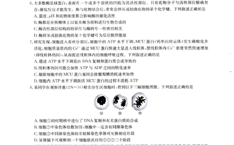河南省南阳市九师联盟2024-2025学年高二下学期6月期末考试生物试题（含答案）_2025年6月_250619河南省南阳市九师联盟2024-2025学年高二下学期6月期末（全科）