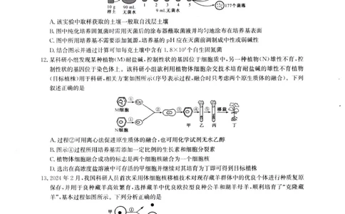 河南省南阳市九师联盟2024-2025学年高二下学期6月期末考试生物试题（含答案）_2025年6月_250619河南省南阳市九师联盟2024-2025学年高二下学期6月期末（全科）