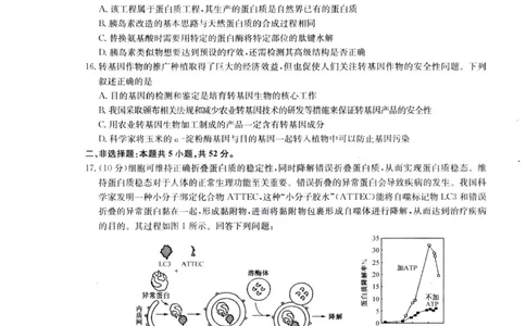 河南省南阳市九师联盟2024-2025学年高二下学期6月期末考试生物试题（含答案）_2025年6月_250619河南省南阳市九师联盟2024-2025学年高二下学期6月期末（全科）