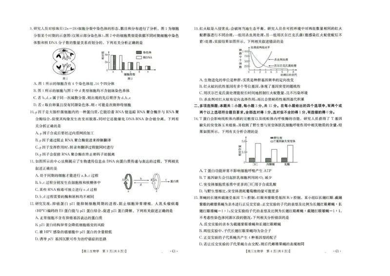 河北省2026届高三年级十月份联考（26-75C）生物_251101金太阳&middot;河北省2026届高三年级十月份联考（26-75C）（全科）_河北省金太阳2026届高三年级十月份联考（26-75C）生物