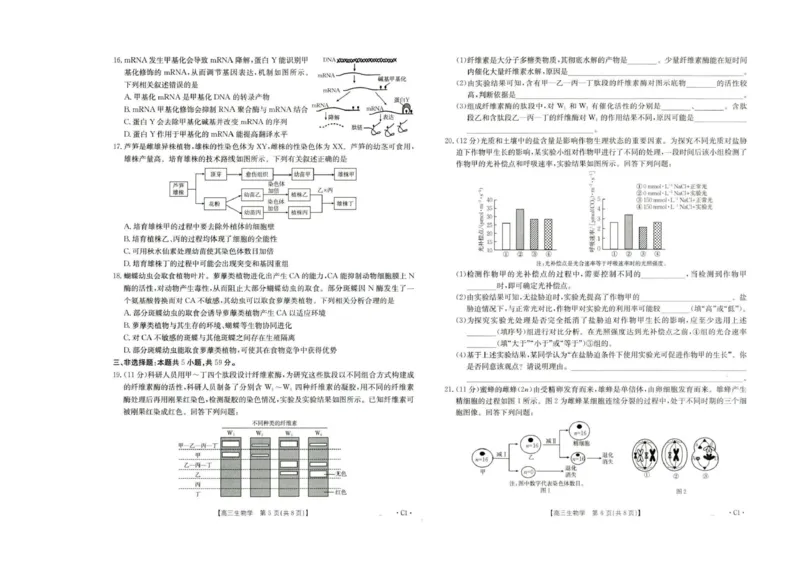 河北省2026届高三年级十月份联考（26-75C）生物_251101金太阳&middot;河北省2026届高三年级十月份联考（26-75C）（全科）_河北省金太阳2026届高三年级十月份联考（26-75C）生物
