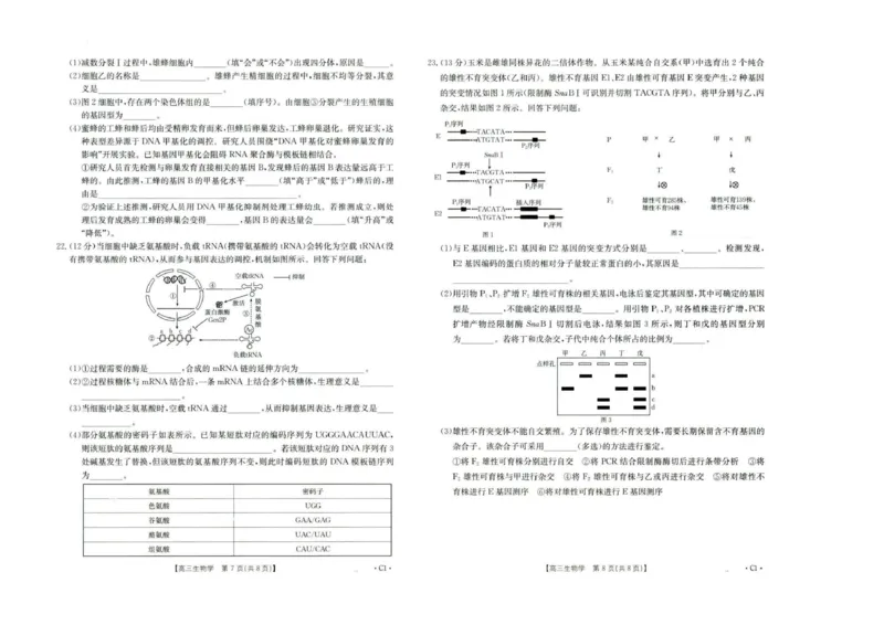 河北省2026届高三年级十月份联考（26-75C）生物_251101金太阳&middot;河北省2026届高三年级十月份联考（26-75C）（全科）_河北省金太阳2026届高三年级十月份联考（26-75C）生物