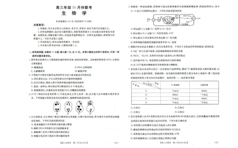 河北省2026届高三年级十月份联考（26-75C）生物_251101金太阳&middot;河北省2026届高三年级十月份联考（26-75C）（全科）_河北省金太阳2026届高三年级十月份联考（26-75C）生物