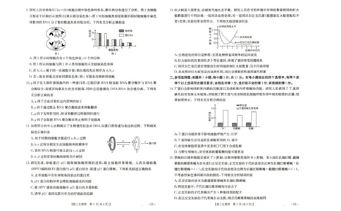河北省2026届高三年级十月份联考（26-75C）生物_251101金太阳&middot;河北省2026届高三年级十月份联考（26-75C）（全科）_河北省金太阳2026届高三年级十月份联考（26-75C）生物