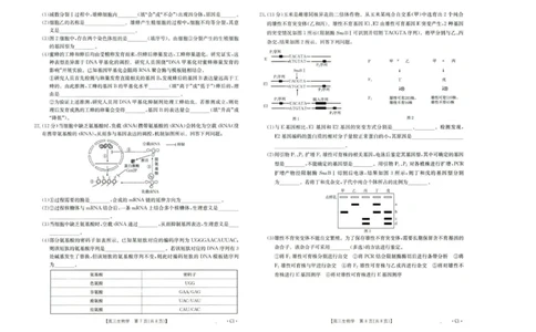 河北省2026届高三年级十月份联考（26-75C）生物_251101金太阳&middot;河北省2026届高三年级十月份联考（26-75C）（全科）_河北省金太阳2026届高三年级十月份联考（26-75C）生物