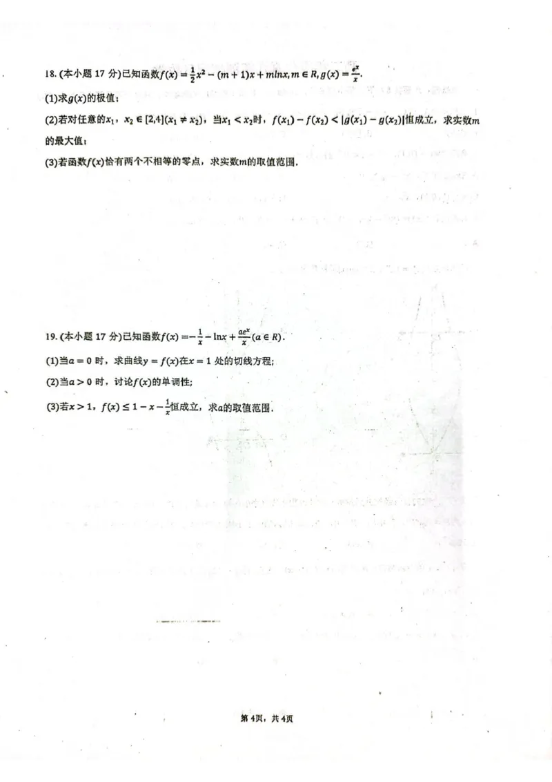 山东省莱州市第一中学2024-2025学年高二下学期期末全真训练测试数学PDF版含答案_2025年7月_250714山东省莱州市第一中学2024-2025学年高二下学期期末全真训练测试