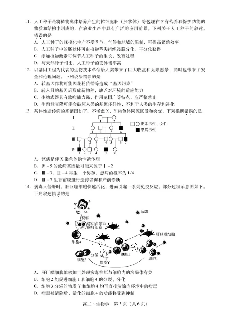 广东省揭阳市2024-2025学年高二下学期期末教学质量测试生物试卷（含答案）_2025年7月_250711广东省揭阳市2024-2025学年高二下学期期末教学质量测试（全科）