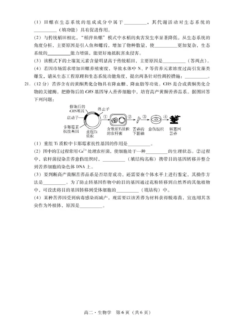 广东省揭阳市2024-2025学年高二下学期期末教学质量测试生物试卷（含答案）_2025年7月_250711广东省揭阳市2024-2025学年高二下学期期末教学质量测试（全科）