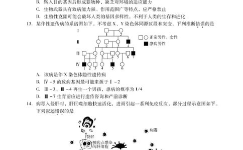 广东省揭阳市2024-2025学年高二下学期期末教学质量测试生物试卷（含答案）_2025年7月_250711广东省揭阳市2024-2025学年高二下学期期末教学质量测试（全科）