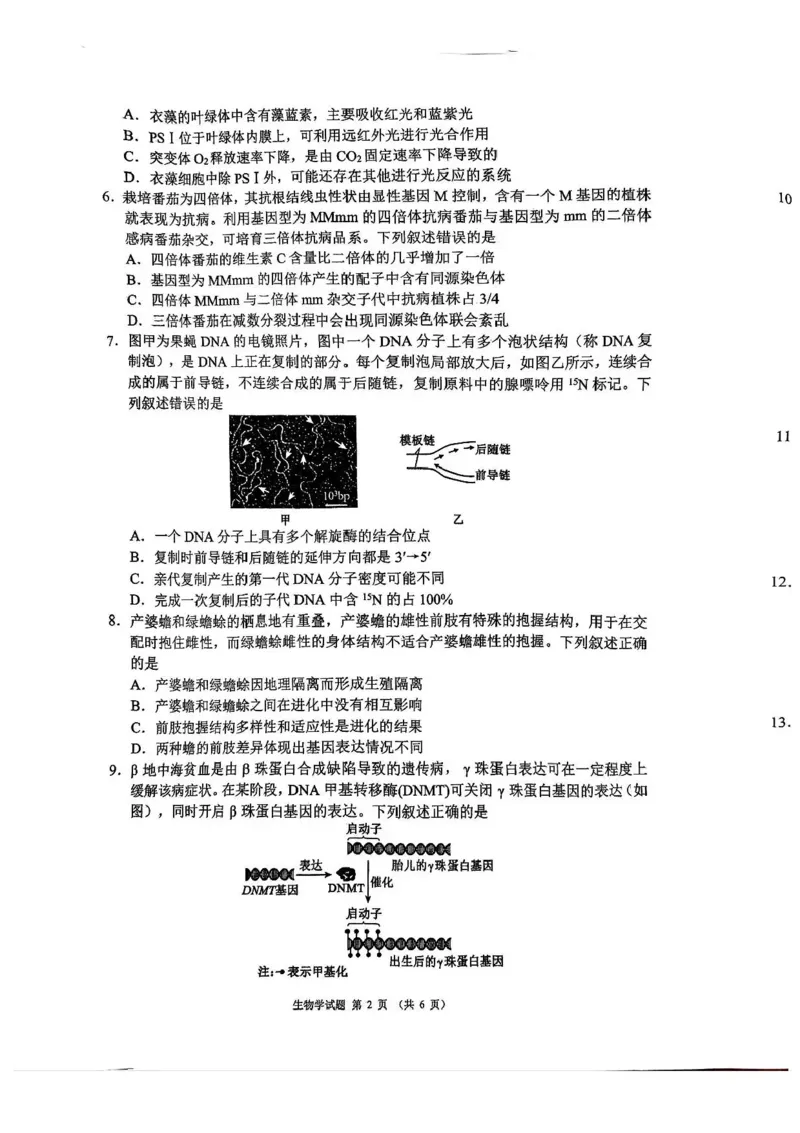 四川省成都市蓉城名校联盟2026接高三上学期第一次联合诊断性考试生物试卷（含答案）_251124四川省成都市蓉城名校联盟2026届高三上学期第一次联合诊断性考试（全科）