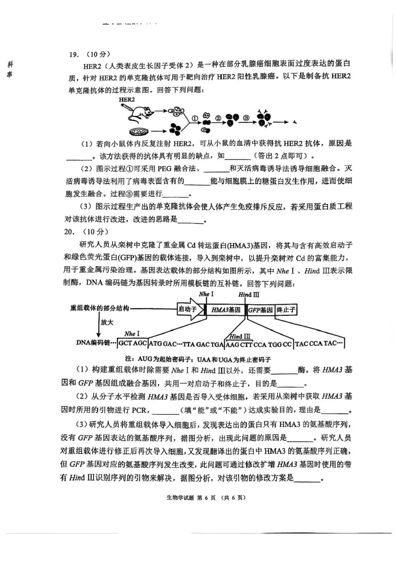 四川省成都市蓉城名校联盟2026接高三上学期第一次联合诊断性考试生物试卷（含答案）_251124四川省成都市蓉城名校联盟2026届高三上学期第一次联合诊断性考试（全科）