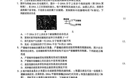 四川省成都市蓉城名校联盟2026接高三上学期第一次联合诊断性考试生物试卷（含答案）_251124四川省成都市蓉城名校联盟2026届高三上学期第一次联合诊断性考试（全科）