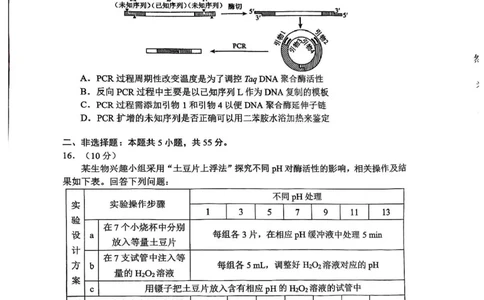 四川省成都市蓉城名校联盟2026接高三上学期第一次联合诊断性考试生物试卷（含答案）_251124四川省成都市蓉城名校联盟2026届高三上学期第一次联合诊断性考试（全科）