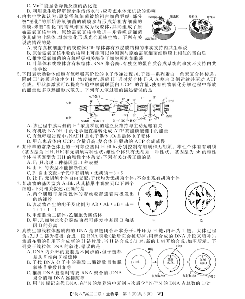 26高三皖八二联-生物学_2025年12月_251221安徽省2026届皖南八校高三第二次大联考（全科）