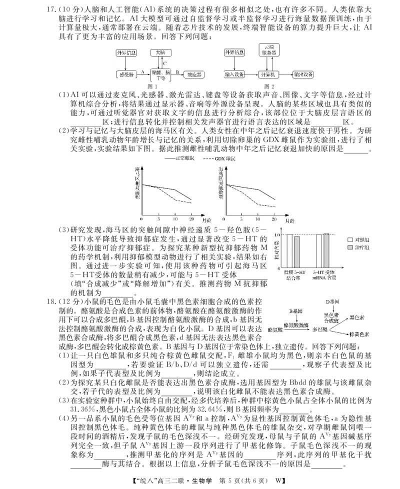 26高三皖八二联-生物学_2025年12月_251221安徽省2026届皖南八校高三第二次大联考（全科）