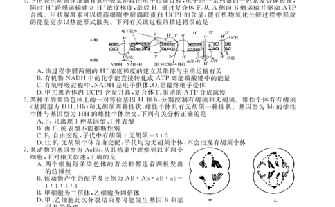 26高三皖八二联-生物学_2025年12月_251221安徽省2026届皖南八校高三第二次大联考（全科）