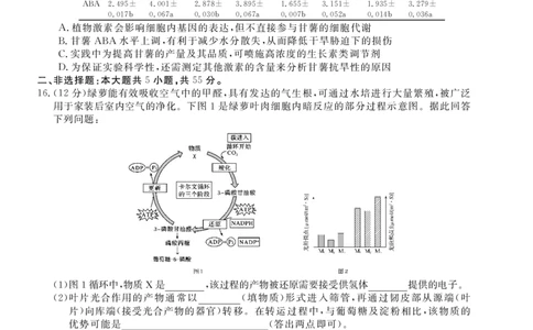 26高三皖八二联-生物学_2025年12月_251221安徽省2026届皖南八校高三第二次大联考（全科）