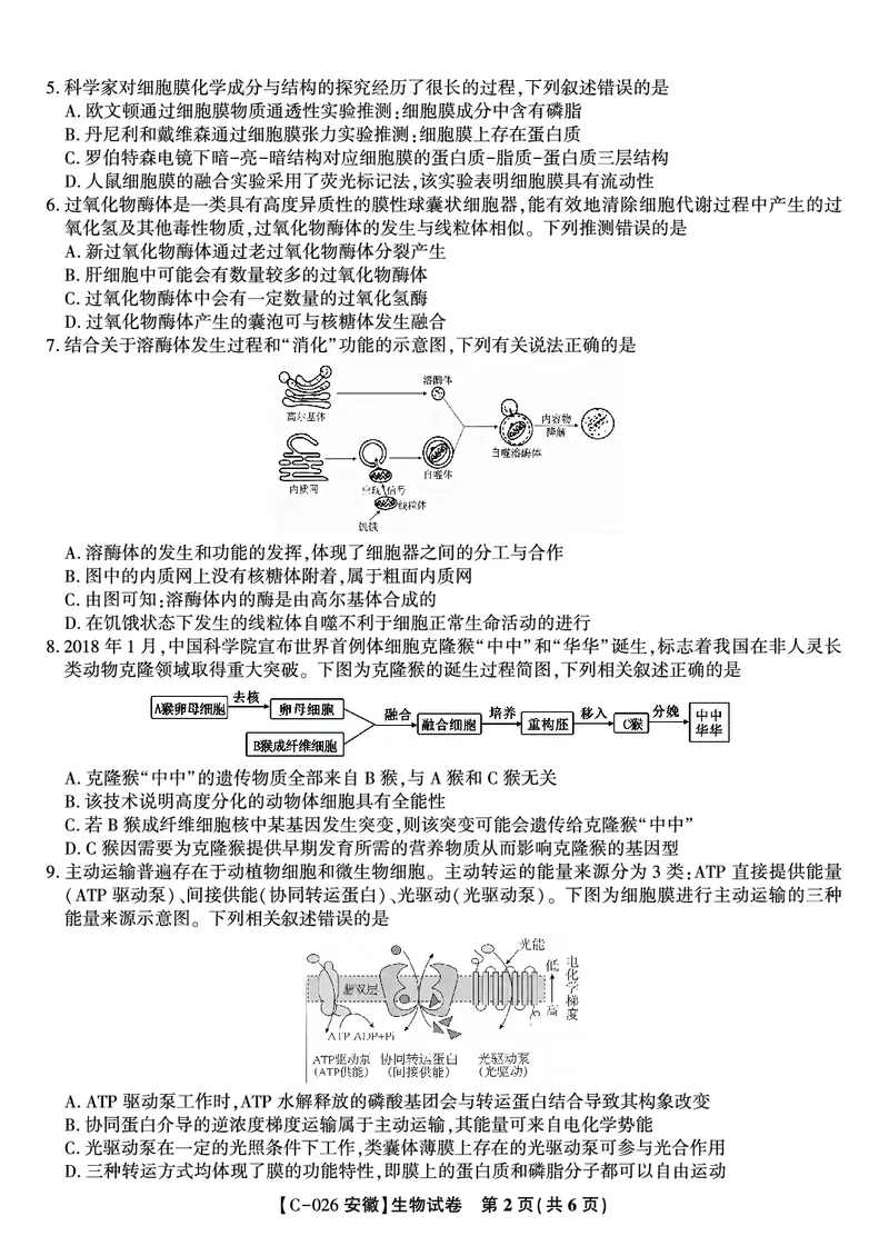 生物试题&middot;2025年11月高三期中联考_251121安徽省皖江名校联盟2025-2026学年高三上学期期中联考（全科）
