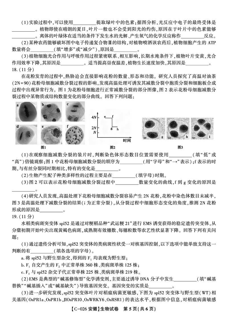 生物试题&middot;2025年11月高三期中联考_251121安徽省皖江名校联盟2025-2026学年高三上学期期中联考（全科）