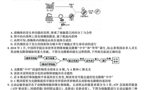 生物试题&middot;2025年11月高三期中联考_251121安徽省皖江名校联盟2025-2026学年高三上学期期中联考（全科）