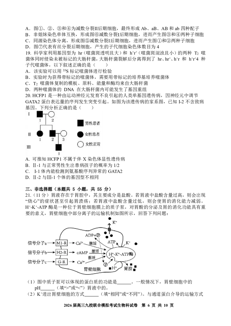 生物-吉林省2026届高三九校11月联合模拟考_251128吉林省2026届高三九校11月联合模拟考（全科）