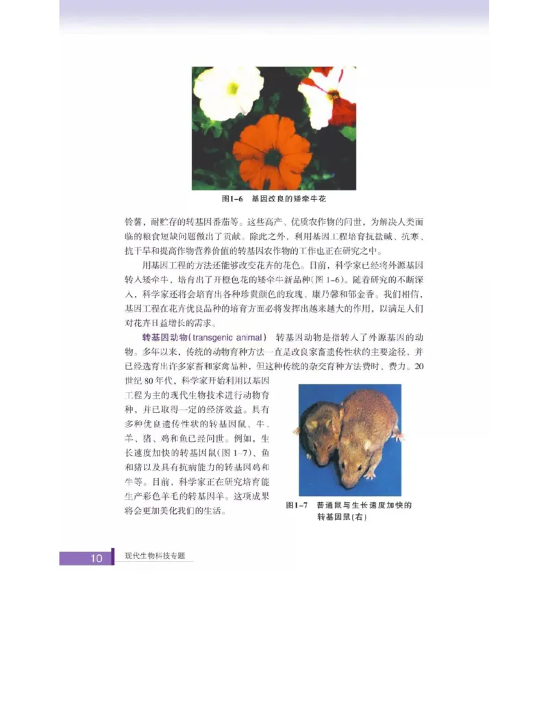 浙科版高中生物选修3《现代生物科技专题》电子课本_4-教培资料-26年最新资料-同步更新_初中高中教资_03科三专项（进去保存报考的学科即可）_112025高中科目（全）电子教材