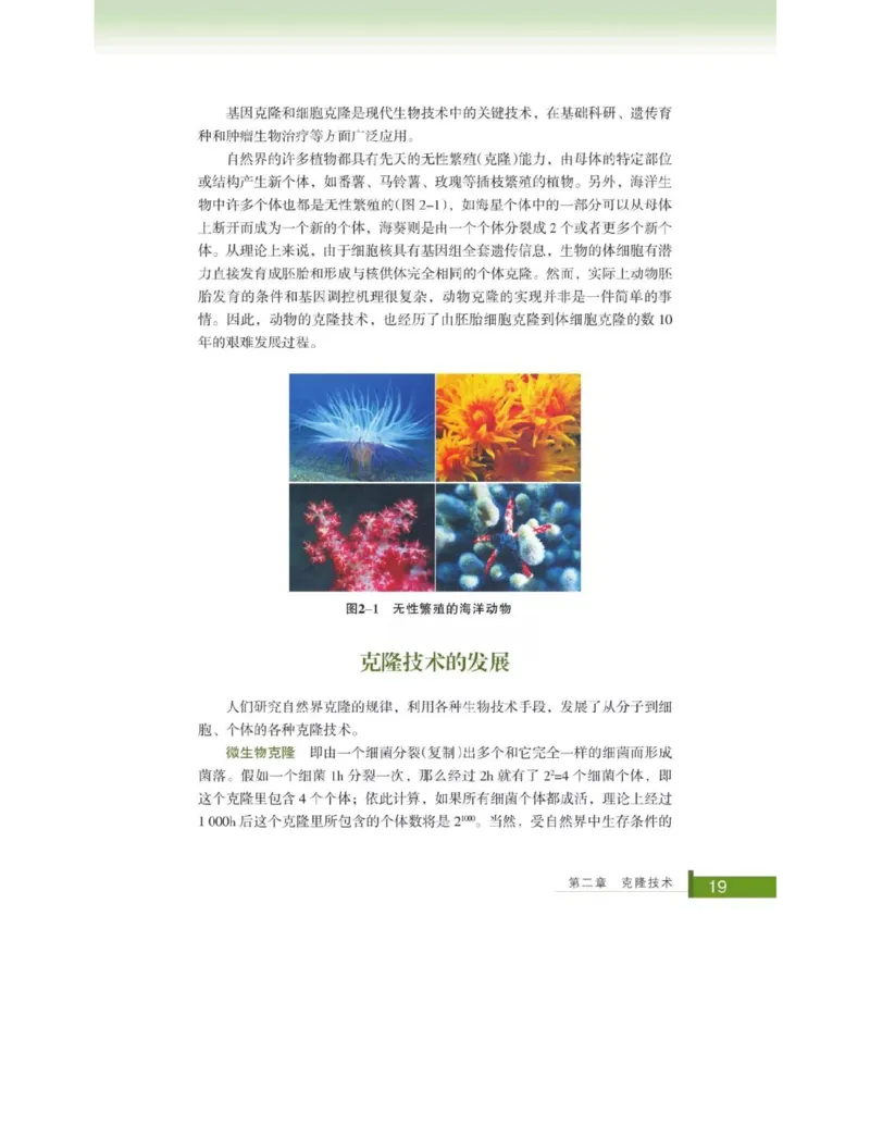 浙科版高中生物选修3《现代生物科技专题》电子课本_4-教培资料-26年最新资料-同步更新_初中高中教资_03科三专项（进去保存报考的学科即可）_112025高中科目（全）电子教材