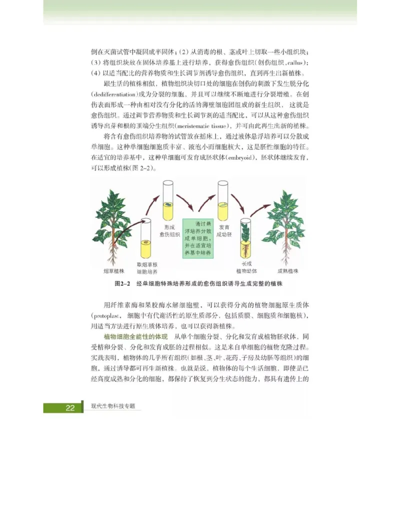 浙科版高中生物选修3《现代生物科技专题》电子课本_4-教培资料-26年最新资料-同步更新_初中高中教资_03科三专项（进去保存报考的学科即可）_112025高中科目（全）电子教材