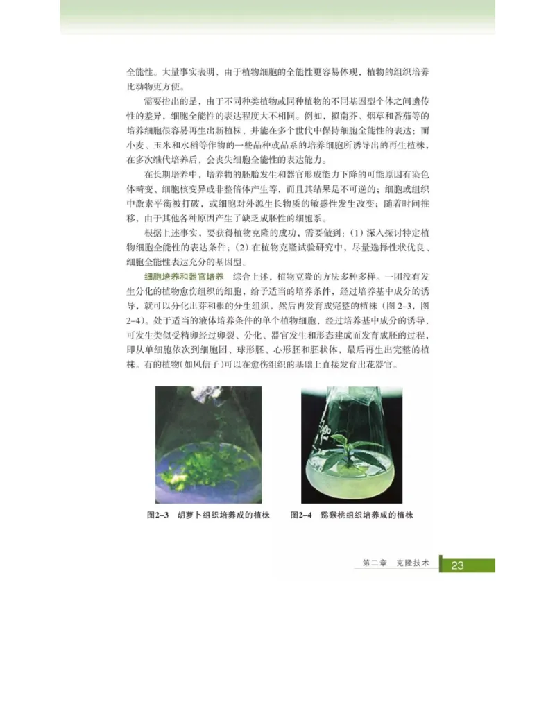 浙科版高中生物选修3《现代生物科技专题》电子课本_4-教培资料-26年最新资料-同步更新_初中高中教资_03科三专项（进去保存报考的学科即可）_112025高中科目（全）电子教材