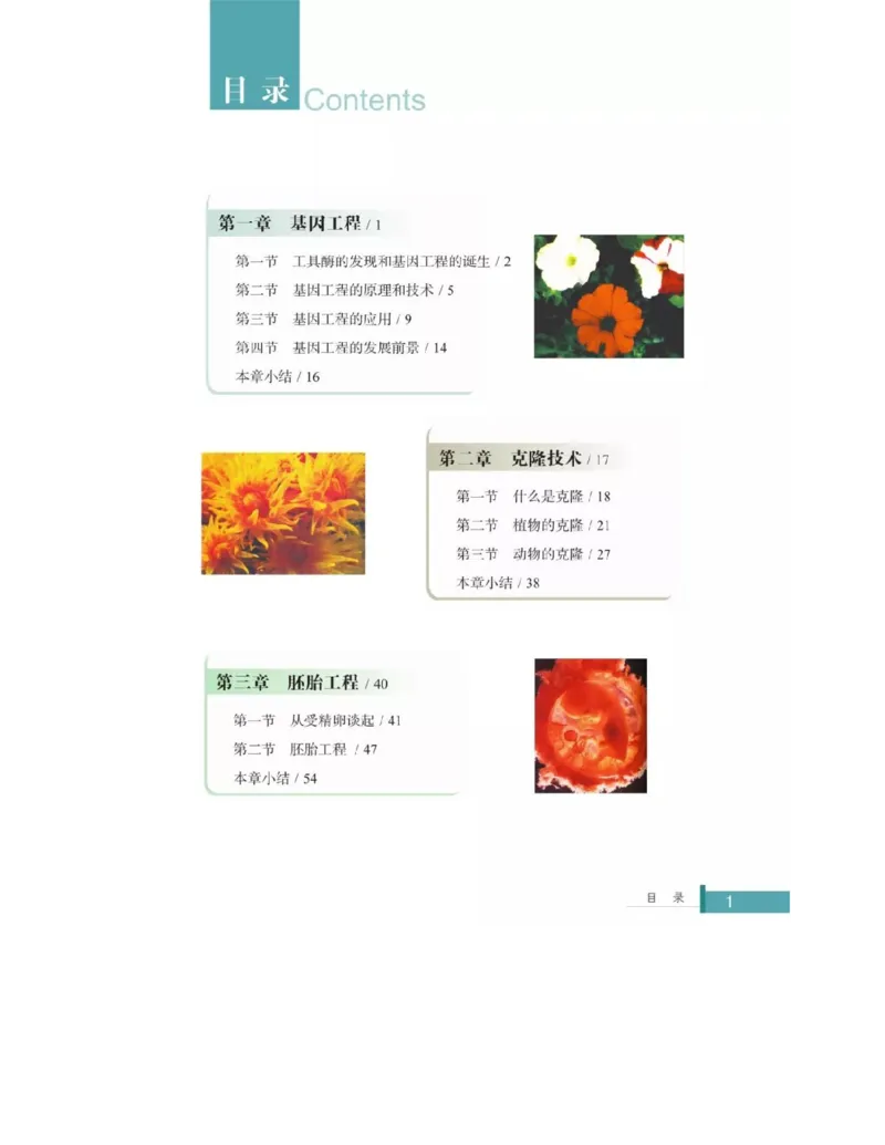 浙科版高中生物选修3《现代生物科技专题》电子课本_4-教培资料-26年最新资料-同步更新_初中高中教资_03科三专项（进去保存报考的学科即可）_112025高中科目（全）电子教材