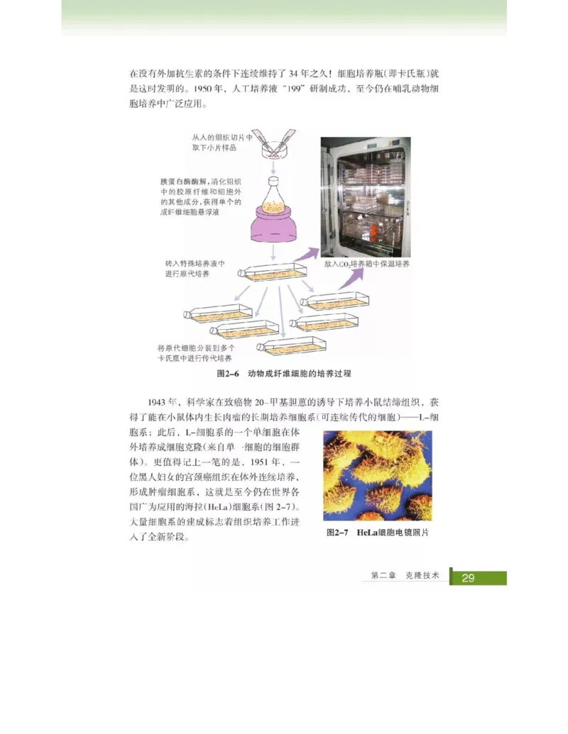 浙科版高中生物选修3《现代生物科技专题》电子课本_4-教培资料-26年最新资料-同步更新_初中高中教资_03科三专项（进去保存报考的学科即可）_112025高中科目（全）电子教材