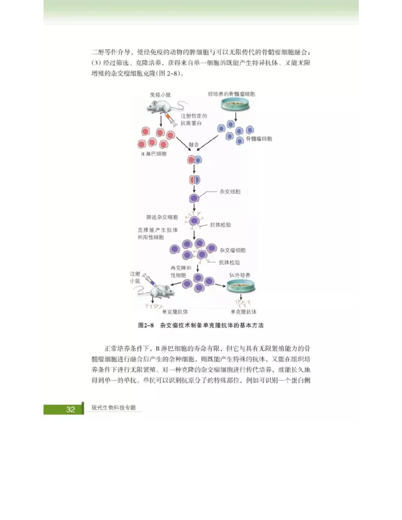 浙科版高中生物选修3《现代生物科技专题》电子课本_4-教培资料-26年最新资料-同步更新_初中高中教资_03科三专项（进去保存报考的学科即可）_112025高中科目（全）电子教材