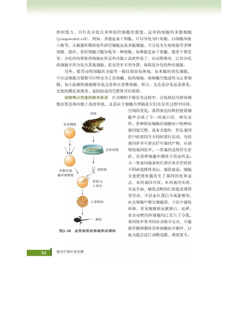 浙科版高中生物选修3《现代生物科技专题》电子课本_4-教培资料-26年最新资料-同步更新_初中高中教资_03科三专项（进去保存报考的学科即可）_112025高中科目（全）电子教材