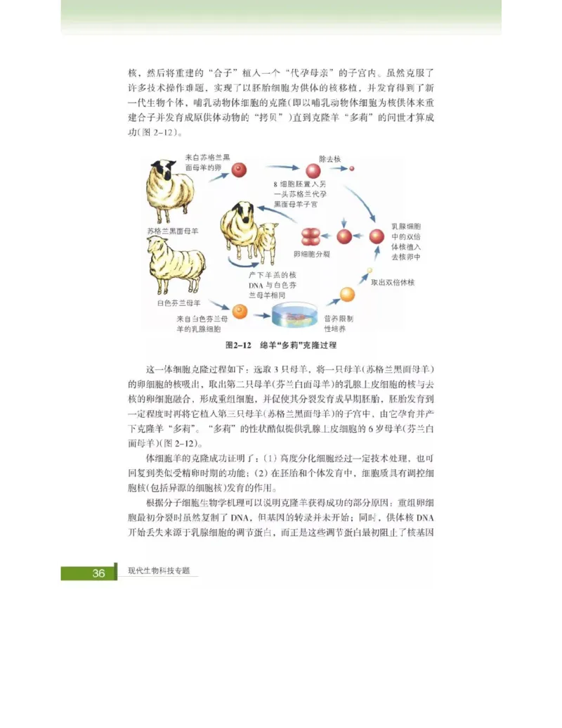浙科版高中生物选修3《现代生物科技专题》电子课本_4-教培资料-26年最新资料-同步更新_初中高中教资_03科三专项（进去保存报考的学科即可）_112025高中科目（全）电子教材